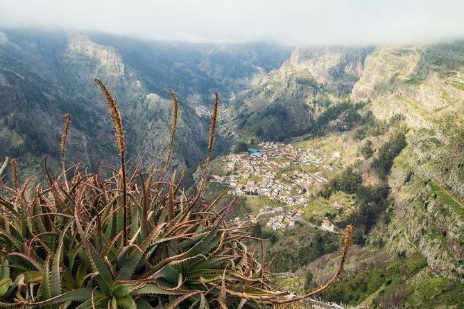 madeira-half-day-small-group-tour-from-funchal