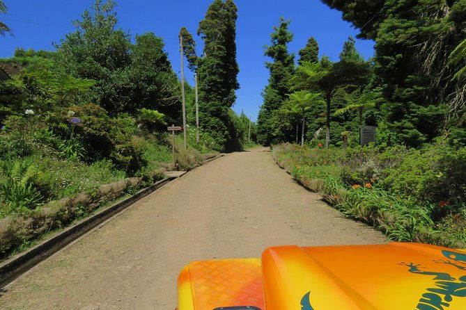 madeira-highlights-guided-4-hour-tour-from-funchal