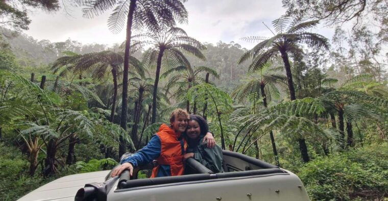 madeira-in-one-day-funchal-eastern-highlights