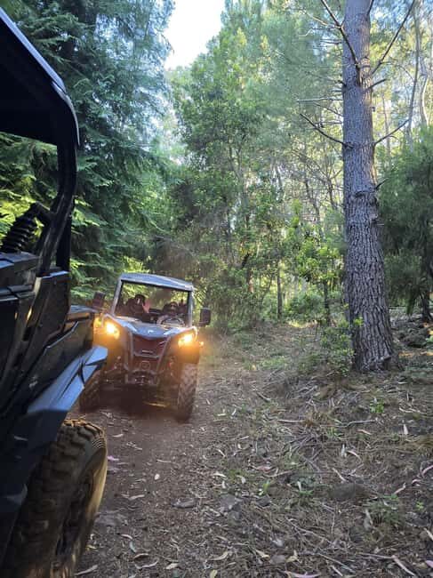 Madeira Island: Buggy FunTrip - Guided CAN-AM OFF-ROAD Buggy Adventure - Final Thoughts: Is It Worth It?