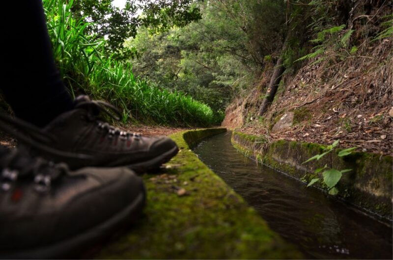 madeira-island-caldeirao-verde-levada-walk
