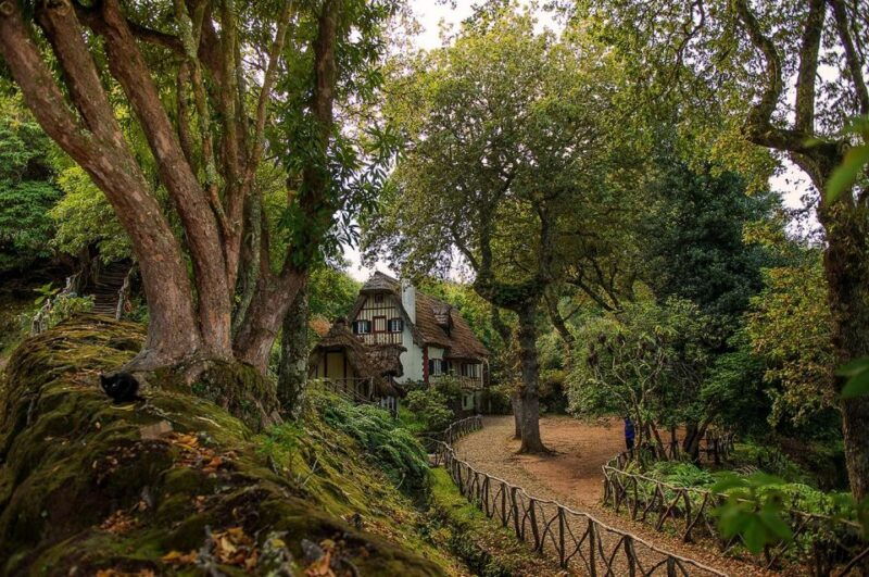 madeira-island-full-day-guided-tour-of-eastern-madeira