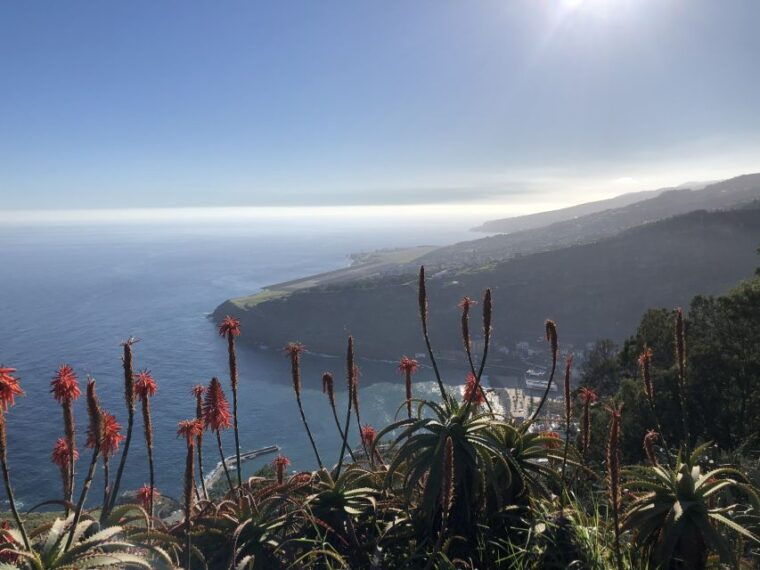 madeira-island-full-day-guided-tour-of-eastern-madeira