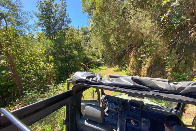 Madeira Island: Full Day Jeep Tour - Pico do Arieiro, East - Santana: A Village in a Fairy Tale