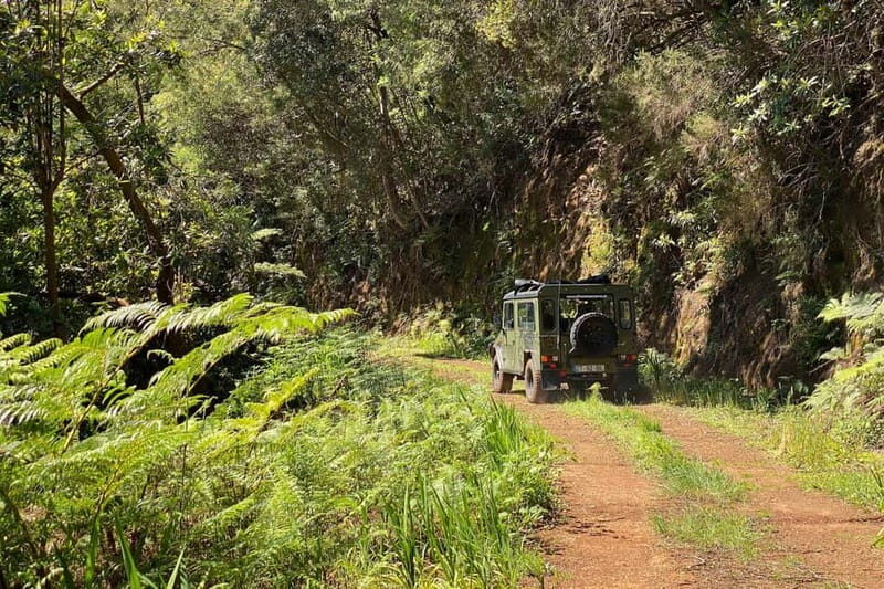 Madeira Island: Full Day Jeep Tour - Pico do Arieiro, East - Final Stop: Caniçal and Maritime Heritage