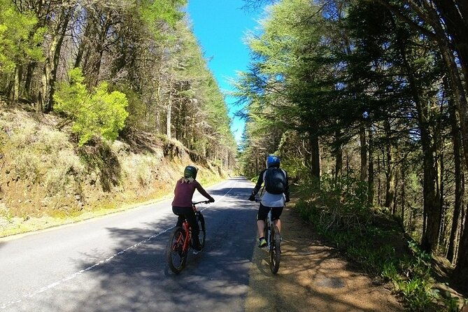 madeira-island-guided-mountain-biking-adventure