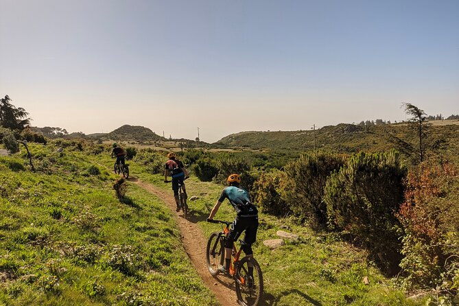 madeira-island-guided-mountain-biking-adventure