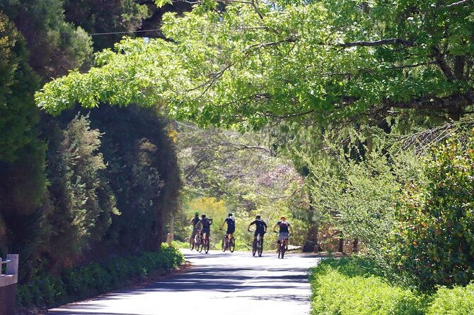 madeira-island-guided-mountain-biking-adventure