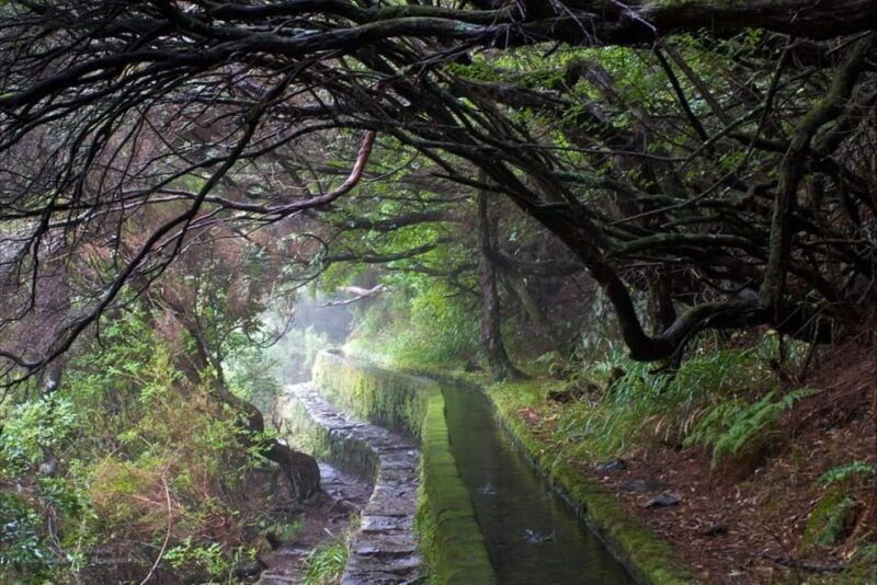 madeira-island-walk-25-fountains-levada