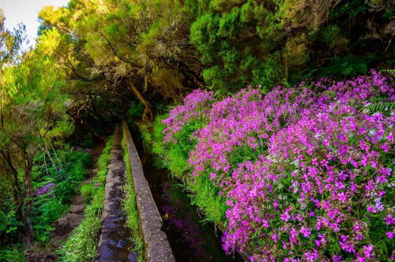 madeira-island-walk-25-fountains-levada