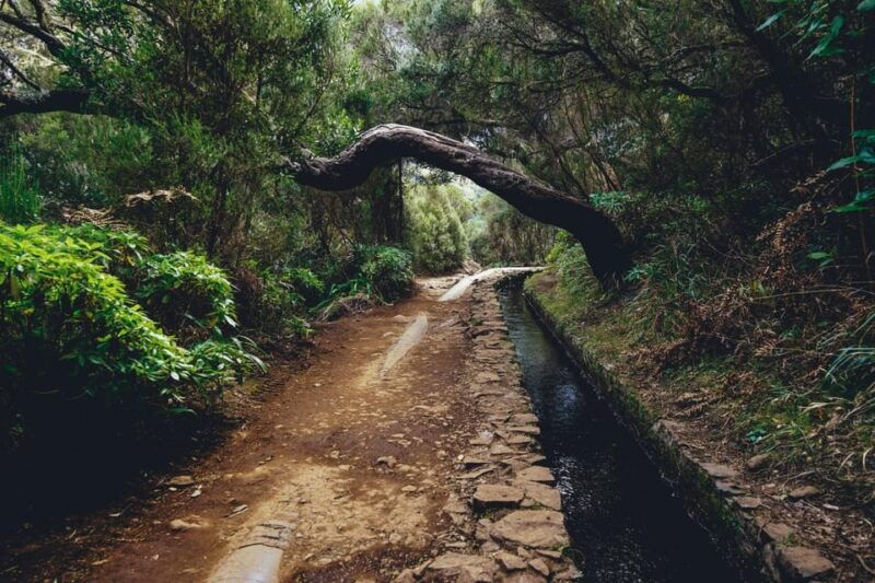 madeira-island-walk-25-fountains-levada