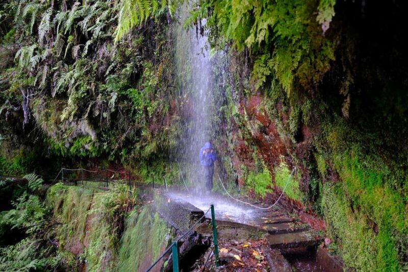 madeira-island-walk-hidden-corners-kings-levada