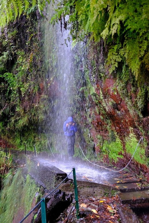 madeira-island-walk-hidden-corners-kings-levada