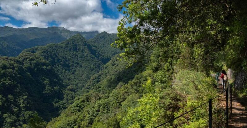 madeira-island-walk-hidden-corners-kings-levada