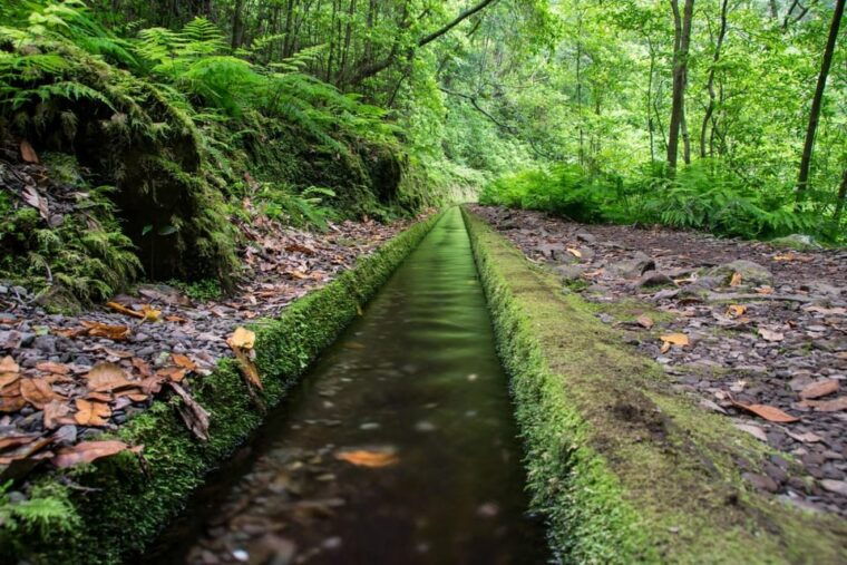 madeira-island-walk-hidden-corners-kings-levada