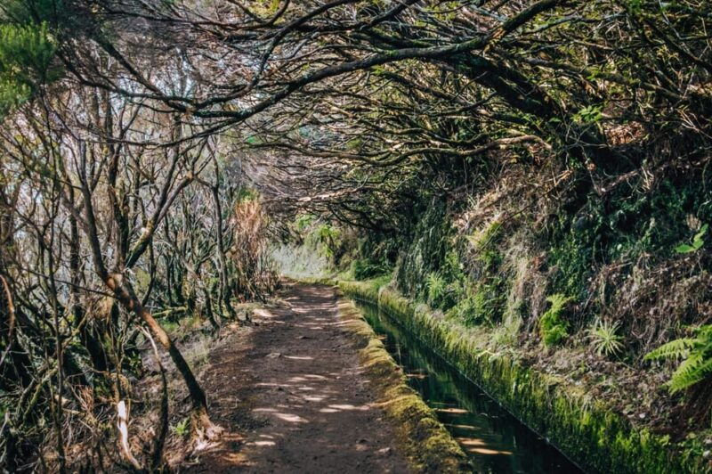 madeira-island-walk-lakes-of-madeira-levada-do-alecrim