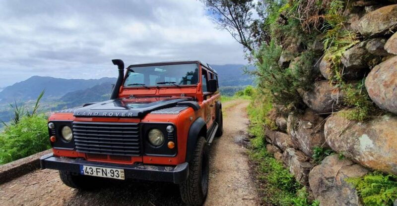 madeira-jeep-4x4-old-forest-safari-tour-with-pico-arieiro