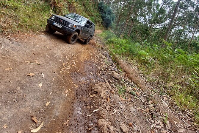 madeira-jeep-safari-to-lava-pools-and-seixal-full-day-west