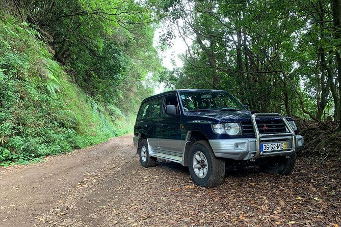 madeira-jeep-safari-to-pico-arieiro-santana-local-houses