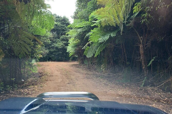 madeira-jeep-safari-to-pico-arieiro-santana-local-houses