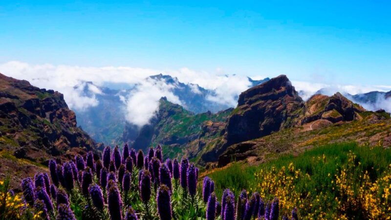 madeira-jeep-tour-pico-areeiro-santa-cruz-and-cristo-rei