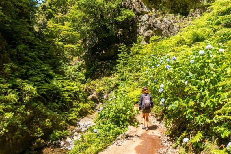 madeira-jungle-fever-levada-caldeirao-verde-hike-santana