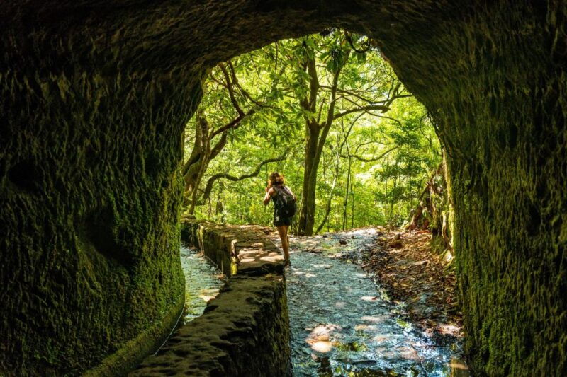 madeira-jungle-fever-levada-caldeirao-verde-hike-santana