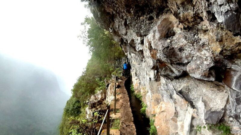 madeira-jungle-fever-levada-caldeirao-verde-hike-santana