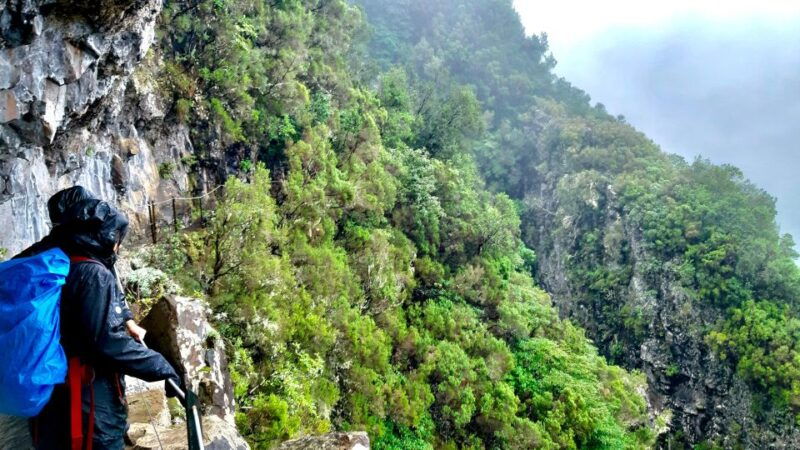 madeira-jungle-fever-levada-caldeirao-verde-hike-santana