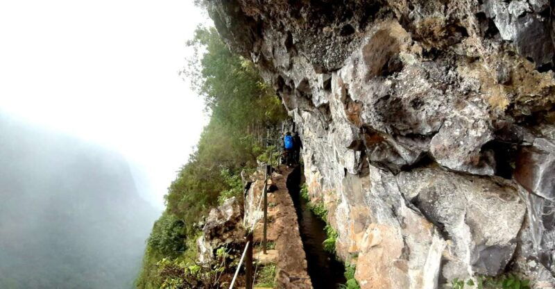 madeira-jungle-fever-levada-caldeirao-verde-hike-santana