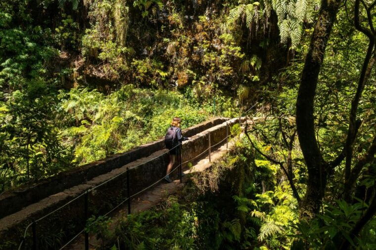 madeira-jungle-fever-levada-caldeirao-verde-hike-santana