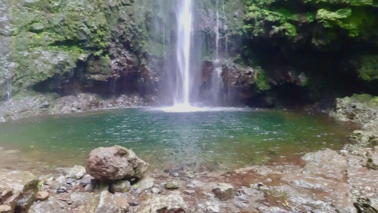 madeira-jungle-fever-levada-caldeirao-verde-hike-santana