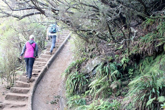 madeira-lakes-levada-do-alecrim