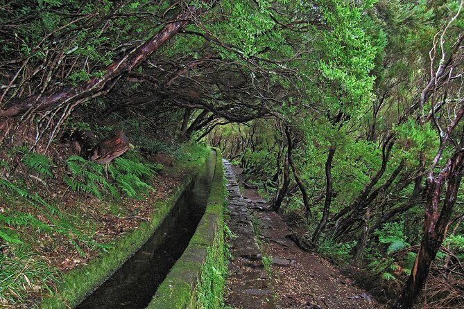 madeira-levada-walk-rabacal-lakes-and-fountains