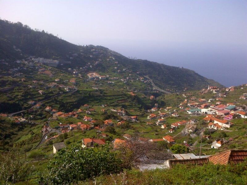 madeira-levado-do-norte-2-hour-hiking-tour