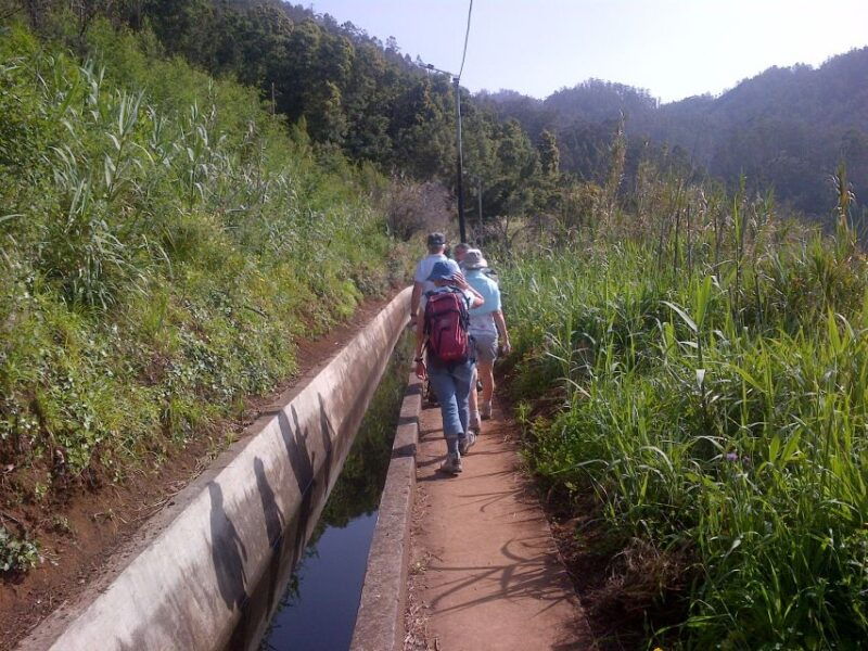 madeira-levado-do-norte-2-hour-hiking-tour