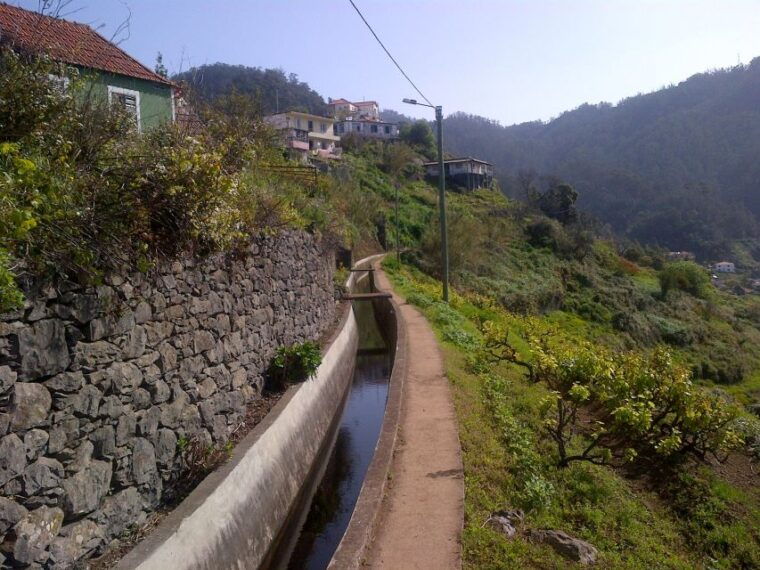 madeira-levado-do-norte-2-hour-hiking-tour