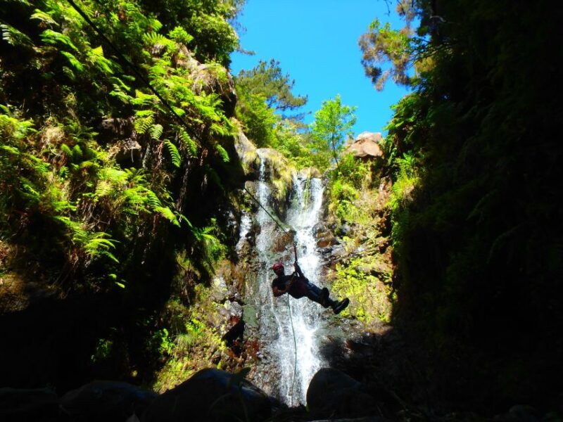 madeira-level-1-canyoning-adventure