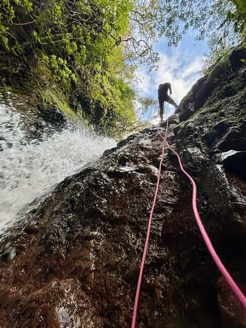 Madeira: Level 1 Canyoning Half Day Adventure - Equipment and Safety  