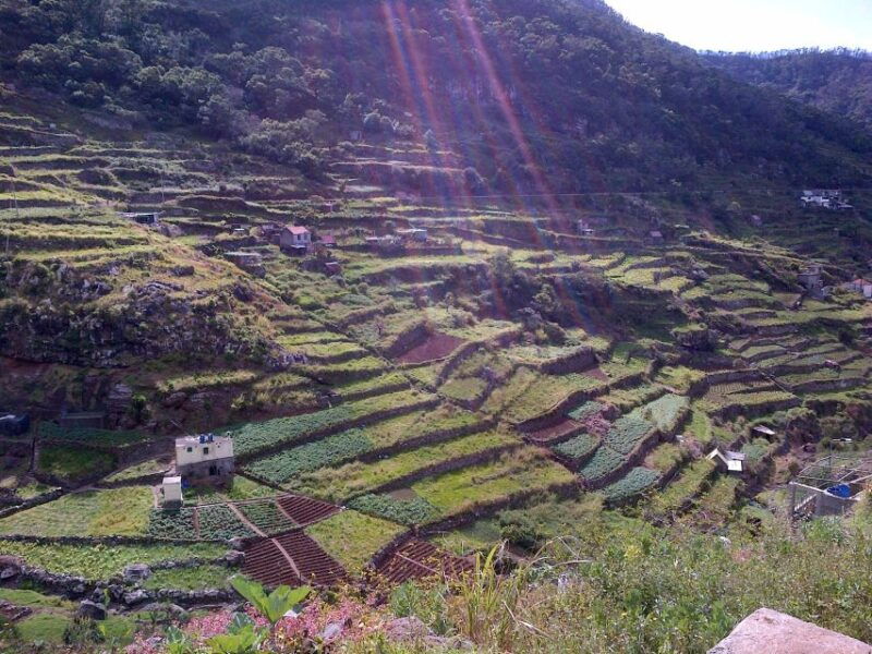 madeira-marocos-landscapes-2-5-hour-guided-walk