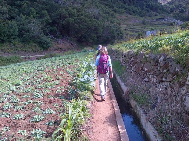 madeira-marocos-landscapes-2-5-hour-guided-walk