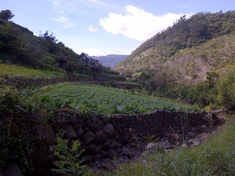 madeira-marocos-landscapes-2-5-hour-guided-walk