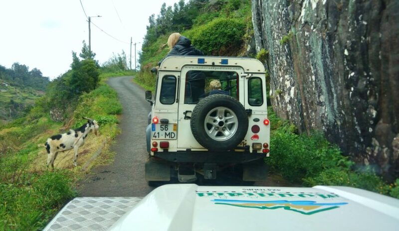 madeira-mini-combo-east-challenge-jeep-safari-levada