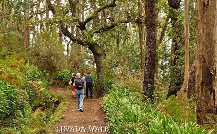 madeira-mini-combo-east-challenge-jeep-safari-levada