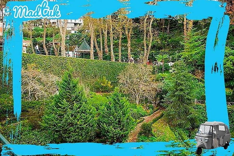 Madeira: Monte Toboggan + Old Town Tuk-Tuk Tour by MadTuk - The Experience in Detail