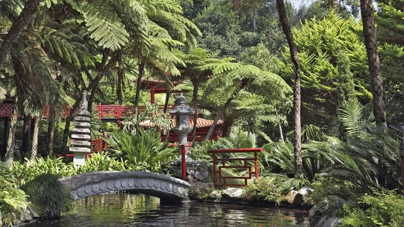 Madeira: Monte Tropical Gardens + Old Town Tuk Tuk by MadTuk - Who Will Enjoy This Tour?