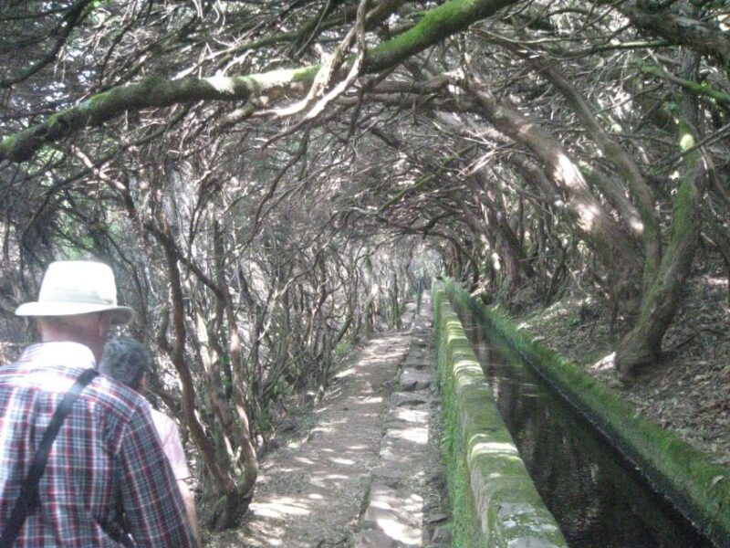 madeira-mountain-walk-with-lagoon-and-waterfalls