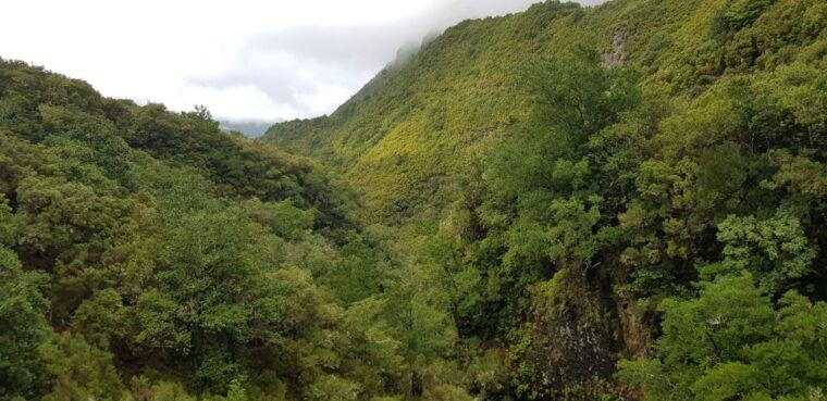 madeira-mountain-walk-with-lagoon-and-waterfalls