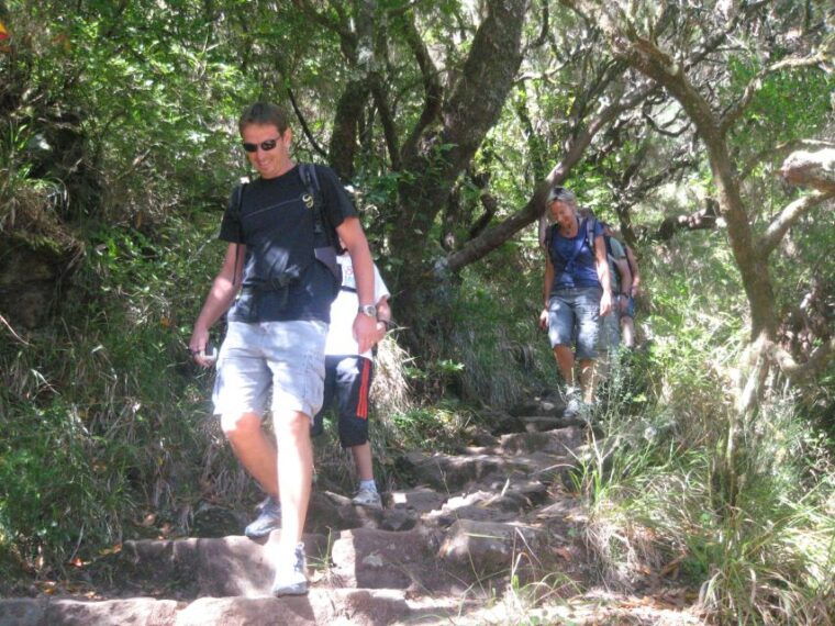 madeira-mountain-walk-with-lagoon-and-waterfalls
