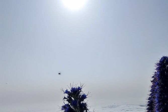 madeira-mystery-tour-half-day-private-4x4-jeep